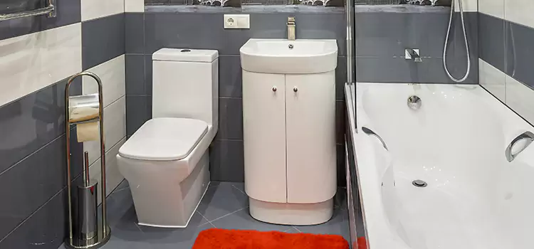 Hansgrohe Shaving Mirror East Point